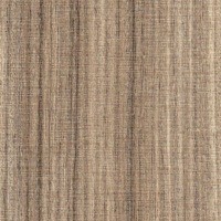 /album/arauco/linheiro-grigio-jpg/